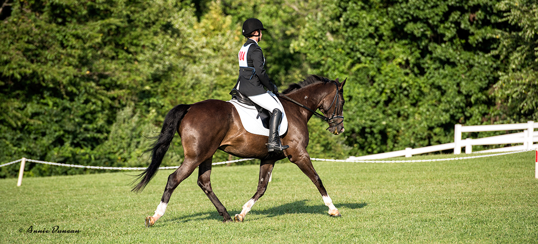 DVCTA eventing and dressage