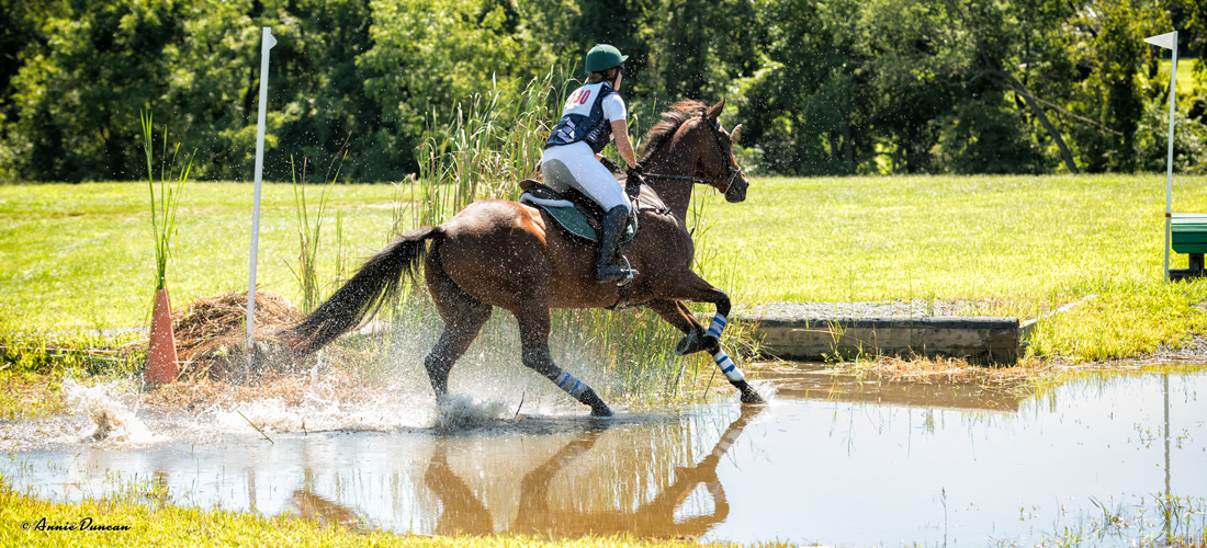 DVCTA eventing and dressage