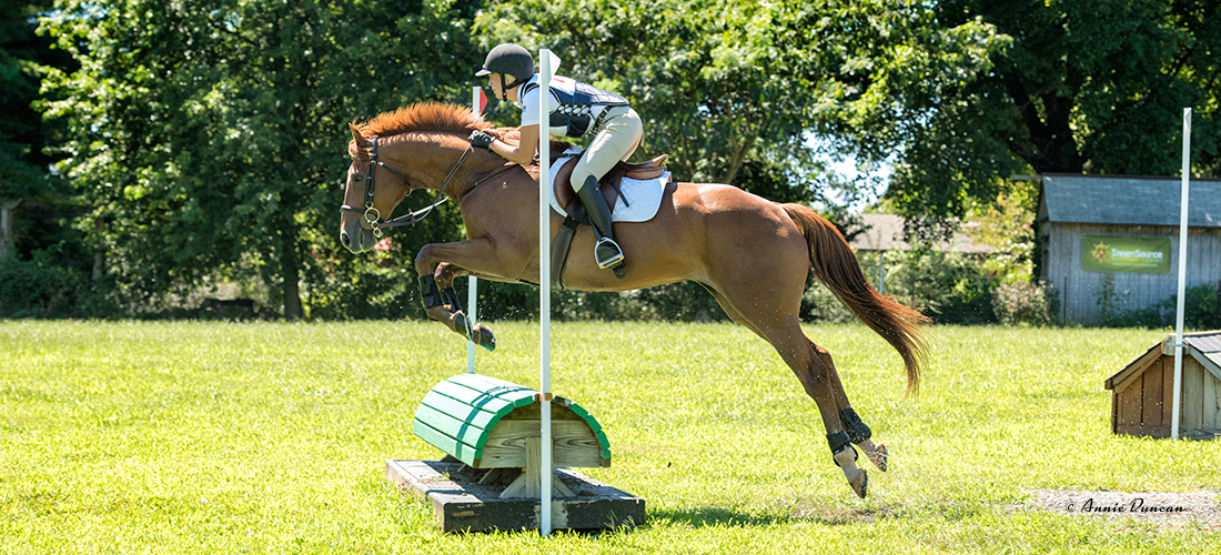 DVCTA eventing and dressage
